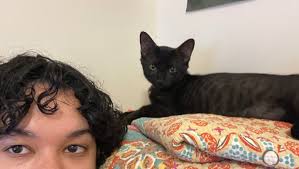 Fundraiser by Skylar Kolocotronis : Assistance with Emergency Vet Bills