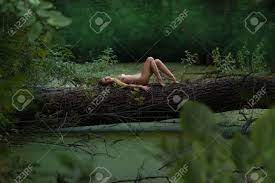 Nackte Mädchen Auf Dem Baum Im Wald Liegen. Fabelhafter Ort In Der Natur.  Lizenzfreie Fotos, Bilder Und Stock Fotografie. Image 41970957.