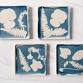 06/29 Cyanotype Coaster Workshop