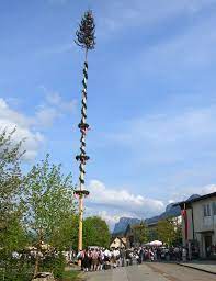 Maibaum synonyms, maibaum pronunciation, maibaum translation, english dictionary definition of maibaum. Maibaum Salzburgwiki