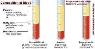 Pin On Diseasemed