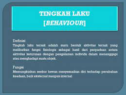 Maybe you would like to learn more about one of these? Tingkah Laku Behaviour Ppt Download