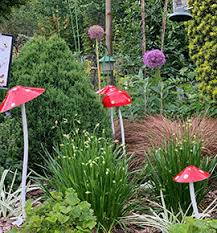 We did not find results for: Johnstown Garden Centre Shop Online Or Buy In Store