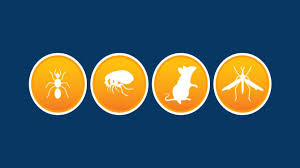 Contact our team of expert exterminators who. Got Bugs Termite And Pest Solutions Inc 793 Photos Pest Control Service 1595 Peachtree Pkwy Ste 204 106 Cumming Ga 30041