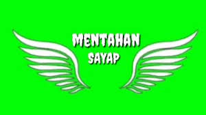 1 mengedit file eps dengan corel draw. Mentahan Sayap Green Screen By Mentahan Editor