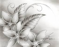 I Started Some Pencil Drawings Of Flowers Around The House I Really Enjoyed The Drawings There Is A N Pencil Drawings Of Flowers Flower Drawing Leaves Sketch