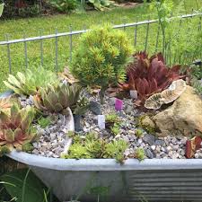 Zinkwanne Bepflanzen Zinkwanne Bepflanzen Zinkwanne Garten