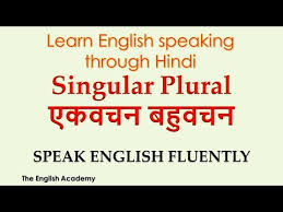 Singular And Plural Nouns Examples Definition List Exercises