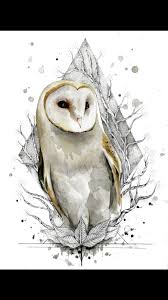 Pin By Kayla Vanmatre On Hoot V Owl Art Print Barn Owl Tattoo Owls Drawing