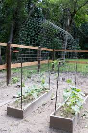 Gardeners.com has been visited by 10k+ users in the past month How To Build An Archway Garden Trellis Merrypad
