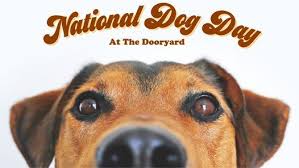 10 pawfect quotes to celebrate national dog day 2021. National Dog Day At The Dooryard The Dooryard San Antonio August 26 2021 Allevents In