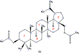 Image result for Diospyros kabuyeana