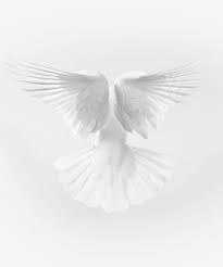 It is one of several variations of academia aesthetic, each with a unique subject focus. White And Pale Aesthetic