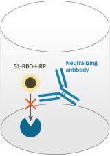 Image result for Neutralization Test