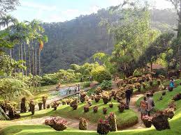 Jardin De Balata Martinique Beautiful Nature Martinique Voyage Martinique Voyage De Reve