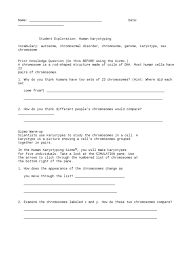 Karyotyping activity answer sheet gutscheinschatz. 397539855 Human Kar Yo Typing Se Karyotype Chromosome