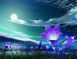 Collection of bikes wallpaper for your laptop, pc. Nice Wallpaper Images Group 69