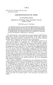 Image result for Chlorosplenium chlora