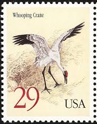 Zimbra provides open source server and client software for messaging and collaboration. Pin On Birds Of The World Rails Gallinules Cranes