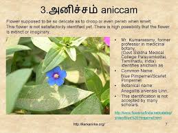 Malligai, 100 மலர்கள் பெயர், 100 மலர் பெயர்கள், தமிழ் மலர் பெயர்கள். Slide7 Flower Names List Of Flowers Flowers