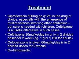 Most people with salmonella infections have mild symptoms and recover without treatment. Salmonella Infections