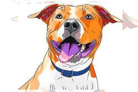 Check out our napoleon dog selection for the very best in unique or custom, handmade pieces from our shops. Ut Civic Body Mulls Banning Dangerous Breed Of Pet Dogs