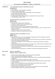 Senior Technical Business Analyst Resume Samples Velvet Jobs