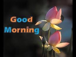Good Morning Gif Video For Whatsapp Song Good Morning Images Good Morning Cards Good Morning Gif