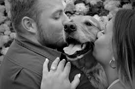 Alexandra Pilarinos and Benjamin Baughman's Wedding Website