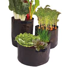 Maybe you would like to learn more about one of these? 3 Packs Durable Outdoor Plant Growing Bags Pe Fabric Planting Vegetables Container Grow Bags Buy Vegetable Grow Bag Growing Tomatoes In Grow Bags Potato Strawberry Planter Bag Product On Alibaba Com