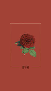 We hope you enjoy our growing collection of hd images to use as a background or home screen for your smartphone or computer. Iphone Aesthetic Tumblr Flower Lock Screen Wallpaper Hd Novocom Top