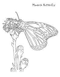 Turn these butterflies into a craft, or simply draw the details onto the butterfly shape and color them. Monarch Butterfly Coloring Page Coloring Home