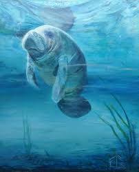 See reviews and photos of beaches in manati, puerto rico on tripadvisor. Manati Painting By Mauricio Parra Saatchi Art