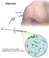 Vaccin Wikipedia