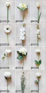 White Flower Guide Flower Guide Wedding Flower Guide White Wedding Flowers