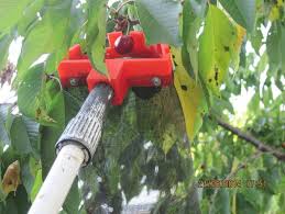 Fruit catcher is the best solution for orange tree and olives trees. Simple Fruit Picker For Small Fruit Like Cherry Fruit Picker Fruit To Grow Fruit Picking