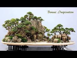 Inspirasi Bonsai Gaya Bentuk Penjing Internasional Bonsai Freshwater Aquarium Plants Aquascape