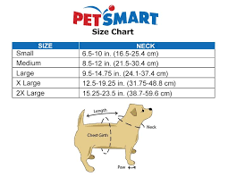 More and more people are purchasing more than harnesses and collars for their dogs, but clothes too. Dog Mx Trade Dog E Collar Dog Collars Petsmart