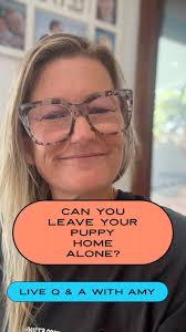 My last reel generated a lot of attention so here I am answering all your  questions., #puppy #cratetraining #newpuppy #newpuppyparents