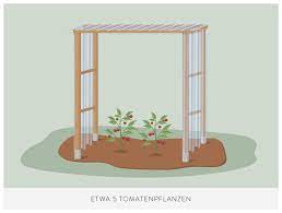 Heute wanderten endlich einige meiner tomaten direkt in das gewächshaus bzw. Stabiles Tomatenhaus Bauen Einfache Bauanleitung Tipps Westwing