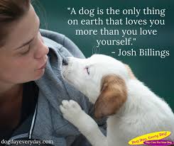 Who Else Agrees Dog Daycare Best Dog Quotes Dogs