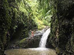 Although you may be hot and steamy from your hike, swimming is not permitted in the pool. 4 Of The Most Beautiful Waterfall Hikes On Oahu Hawaii Beach Homes