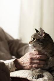 Performed at a level 5 in the area of palpable abnormality. Subcutaneous Hard Nodules In Cats