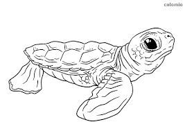 Shark, starfish, octopus, cancer, seahorse and crab in one picture. Zoo Animals Coloring Pages Free Printable Zoo Coloring Sheets