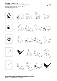 Maybe you would like to learn more about one of these? Grundschule Tierspuren Ratsel Arbeitsblatt Kreuzwortratsel Das Auge Isst Mit Als Pdf Arbeitsblatt Tiere Im Winter Arbeitsblatt Fur 1 Adenaeu Images