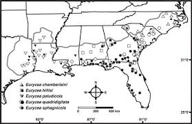 House at 810 powderhorn dr. Revision Of The Eurycea Quadridigitata Holbrook 1842 Complex Of Dwarf Salamanders Caudata Plethodontidae Hemidactyliinae With A Description Of Two New Species