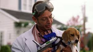A secret war between cats and dogs quickly peaks as professor brody a scientist tries to create a serum to cure dog allergies in humans. Destiny Is In Our Paws Cats Dogs 2001 Talk Film Society