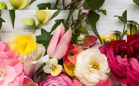 Maybe you would like to learn more about one of these? Case Study 1 800 Flowers