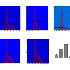 Image result for Glyphaea