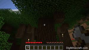 How To Grow A Big Oak Tree In Minecraft - Quora